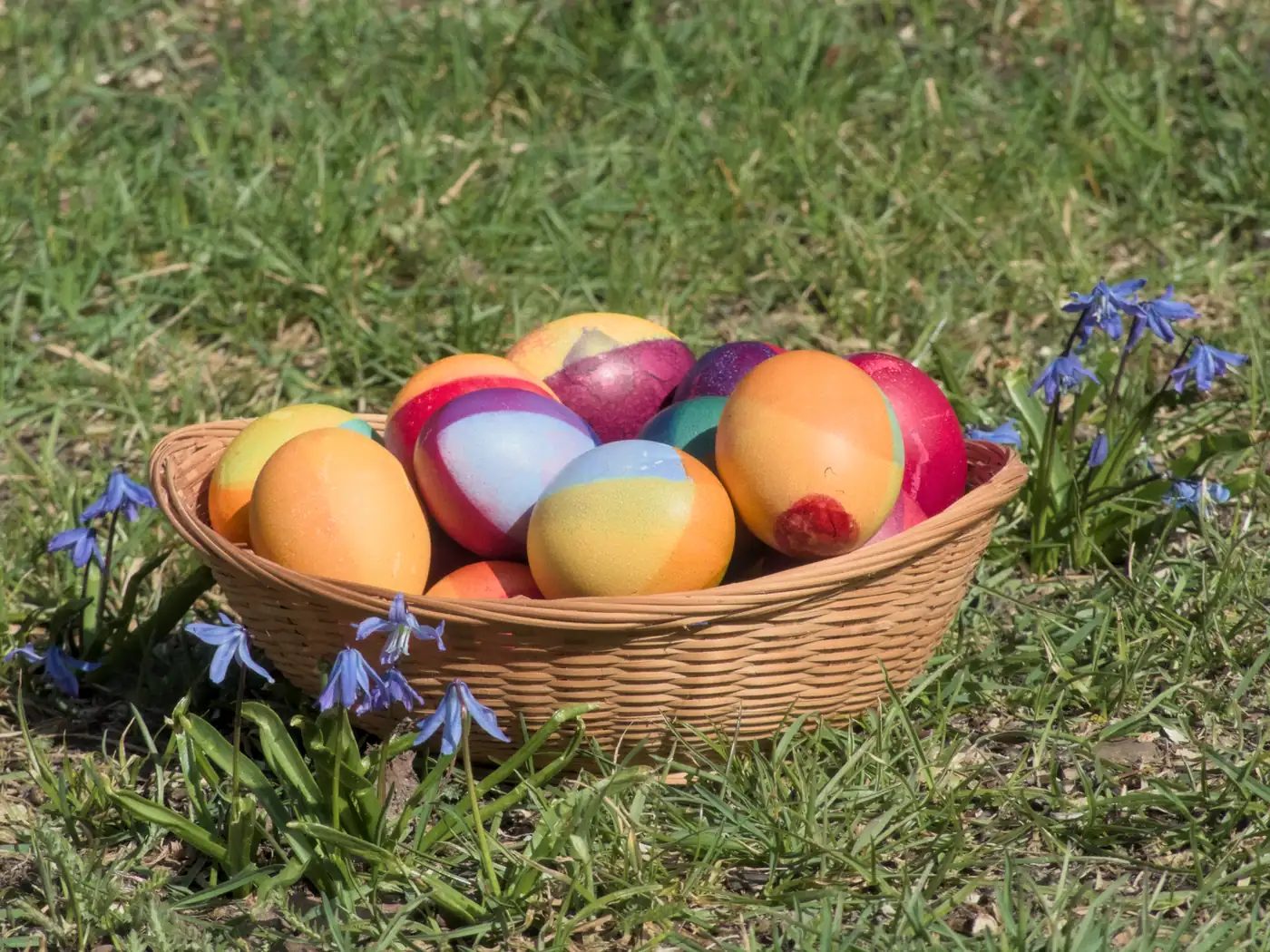 Colorful Easter eggs in a wicker basket placed among spring flowers on grass
