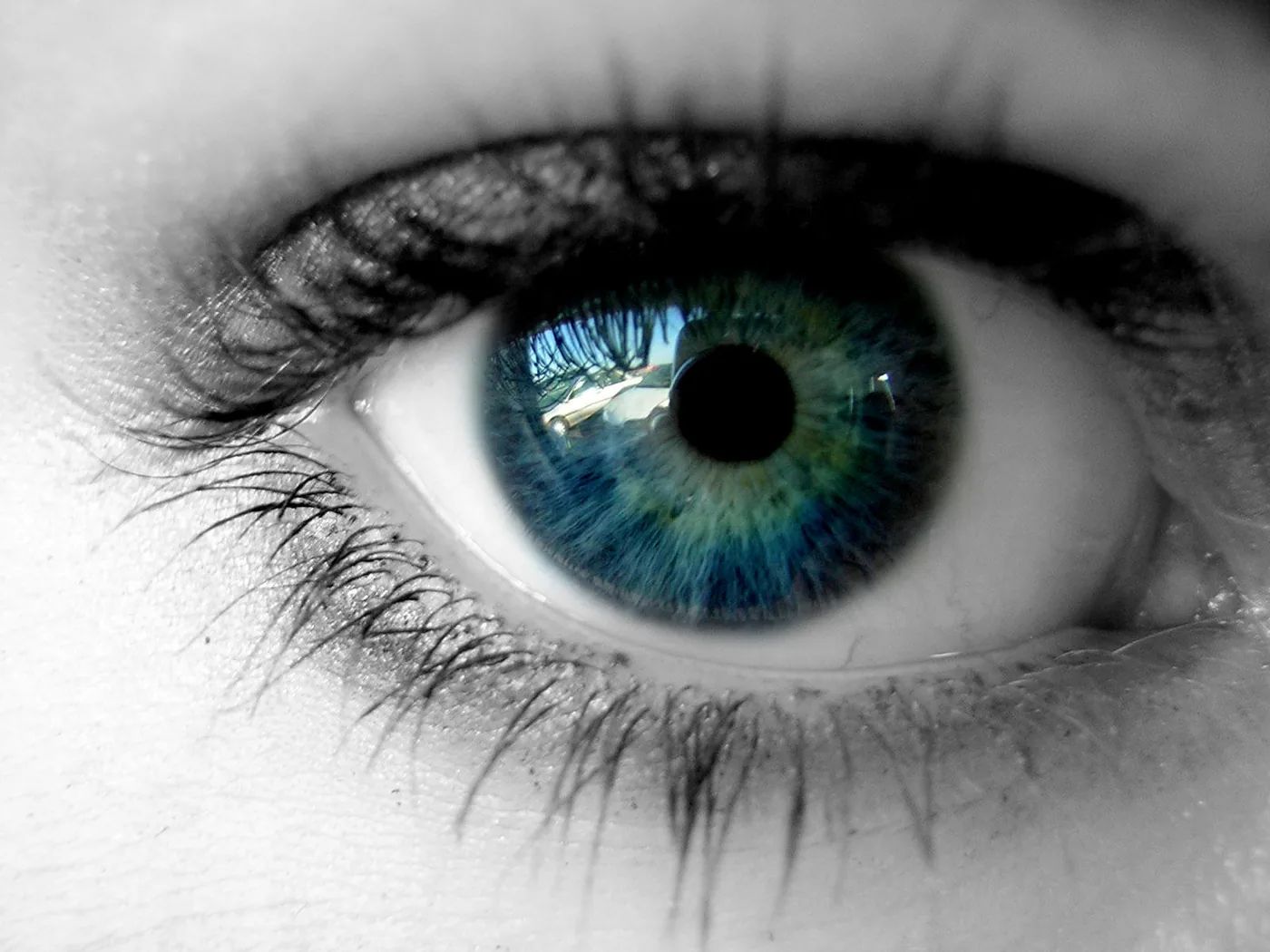 Eye by BaisteachCeilteach