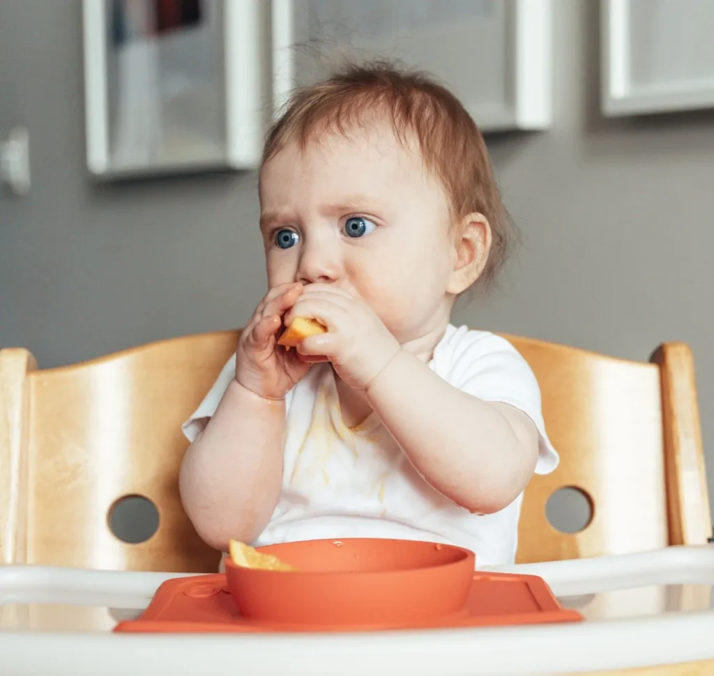 A cute baby in a highchair eating a slice of fruit during their first meal experience