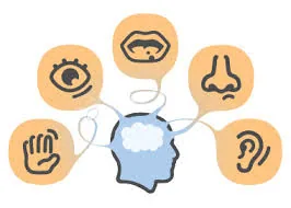 Sensory integration