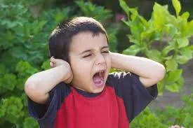 A boy covering his ears and shouting outdoors