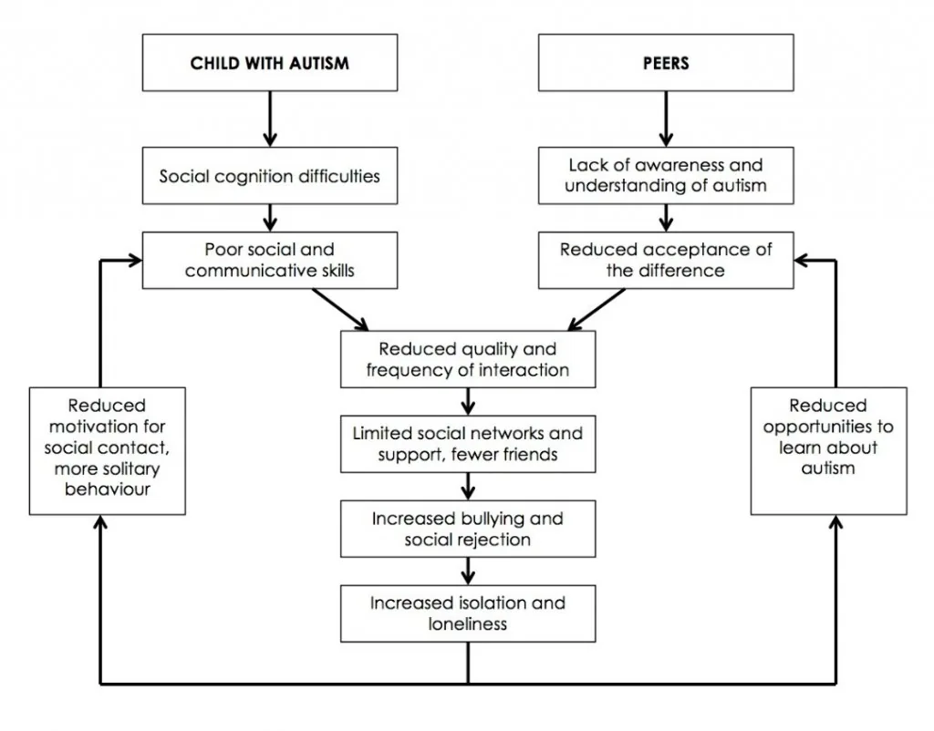 Reciprocal Effects of Peer Interaction Model